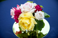 2026 Rose Garden Messages of Peace