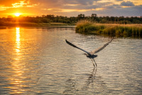San Joaquin Delta