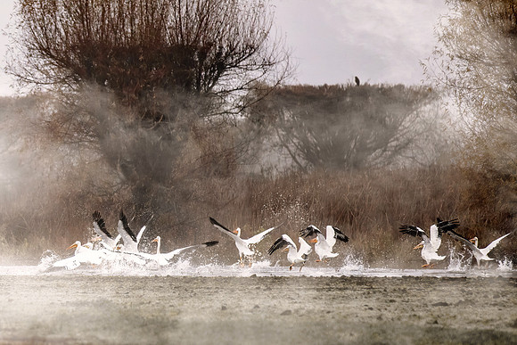 Woodbridge Wetlands Preserve