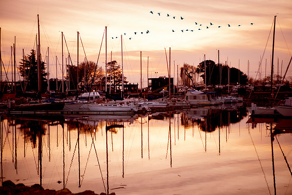 Stockton Sailing Club
