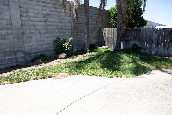 needs to be mowed and trimmed