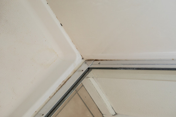 mold in the corners nees some tilex!