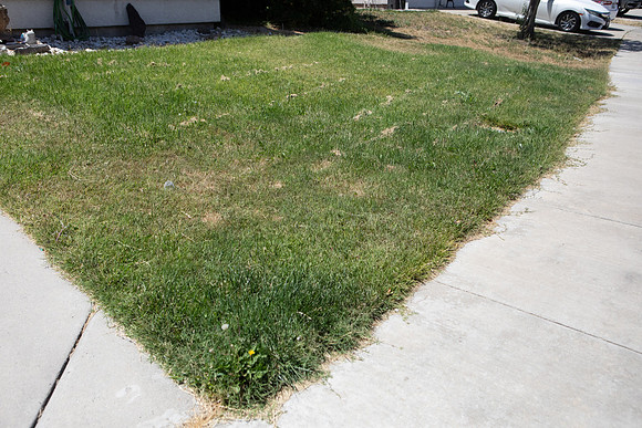 Mow lawn, and have it edged - let me know if you need anyone
