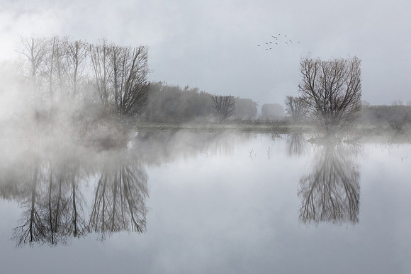 Woodbridge Wetlands Preserve