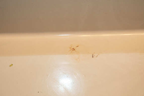 sink counter needs cleaning