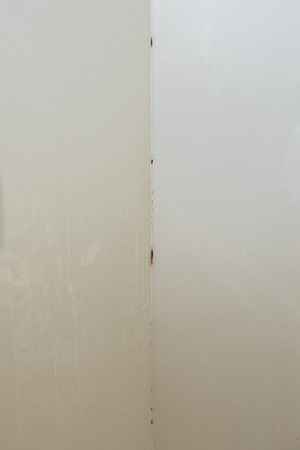 mold in master shower and a strong odor in the drain